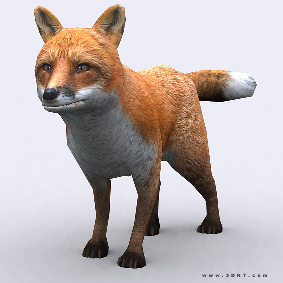3DRT - Wild Animals Low-poly 3D model_14