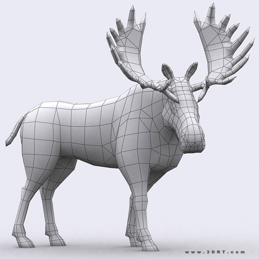 3DRT - Wild Animals Low-poly 3D model_4
