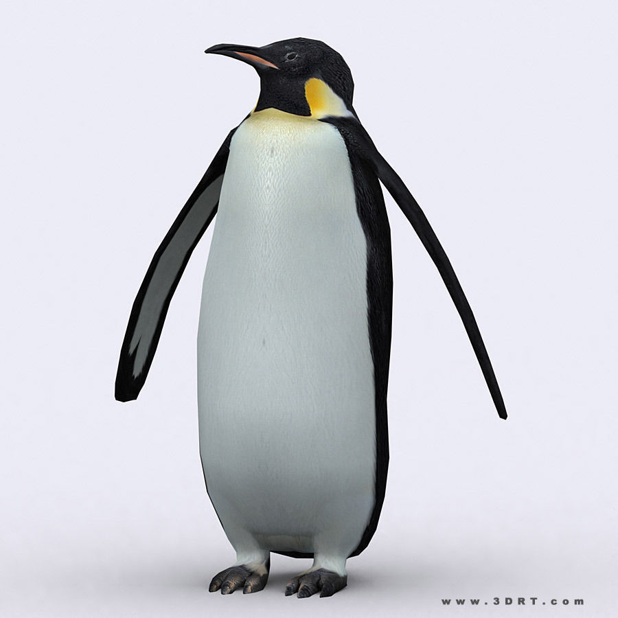 3DRT - Wild Animals Low-poly 3D model_23