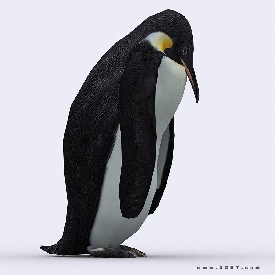 3DRT - Wild Animals Low-poly 3D model_24