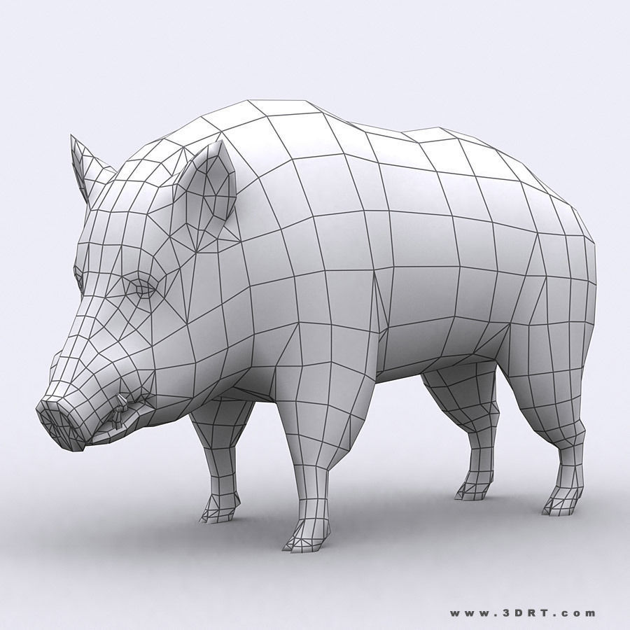 3DRT - Wild Animals Low-poly 3D model_10