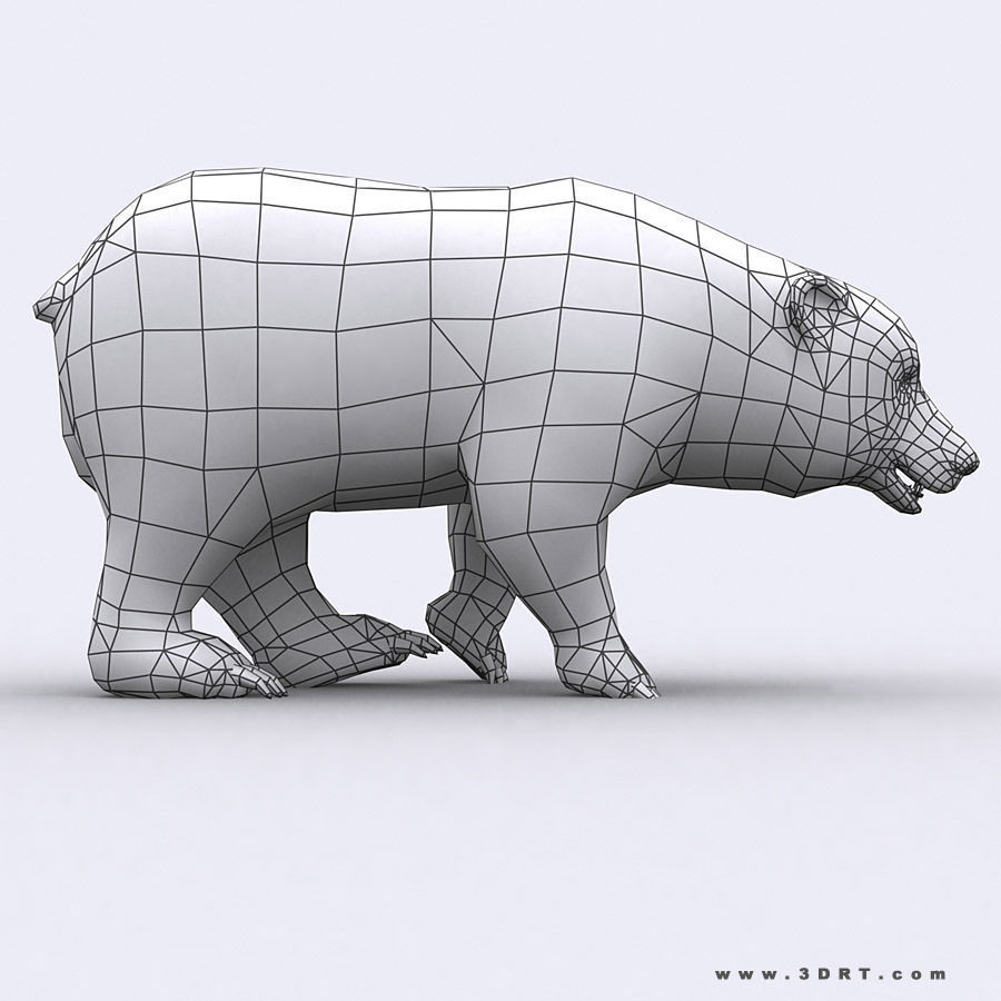 3DRT - Wild Animals Low-poly 3D model_7