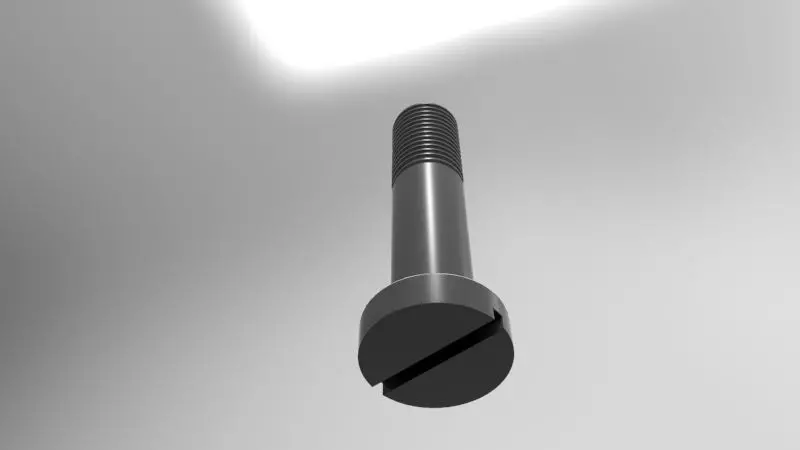 Screw d525 mm h25 mm Free 3D model