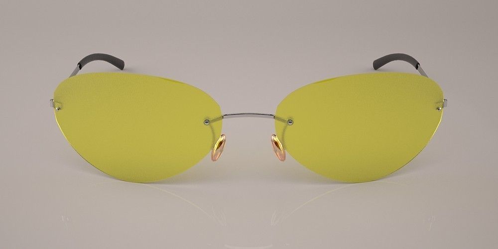 sun Glasses 3D model_1