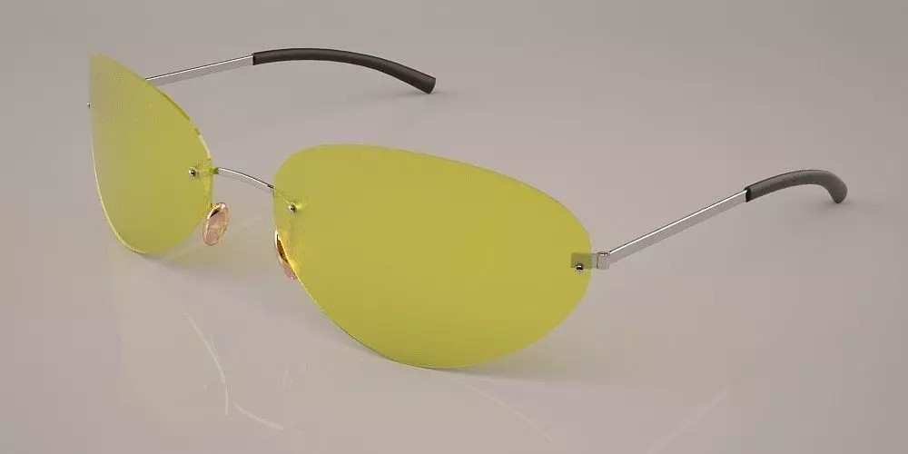 sun Glasses 3D model_0