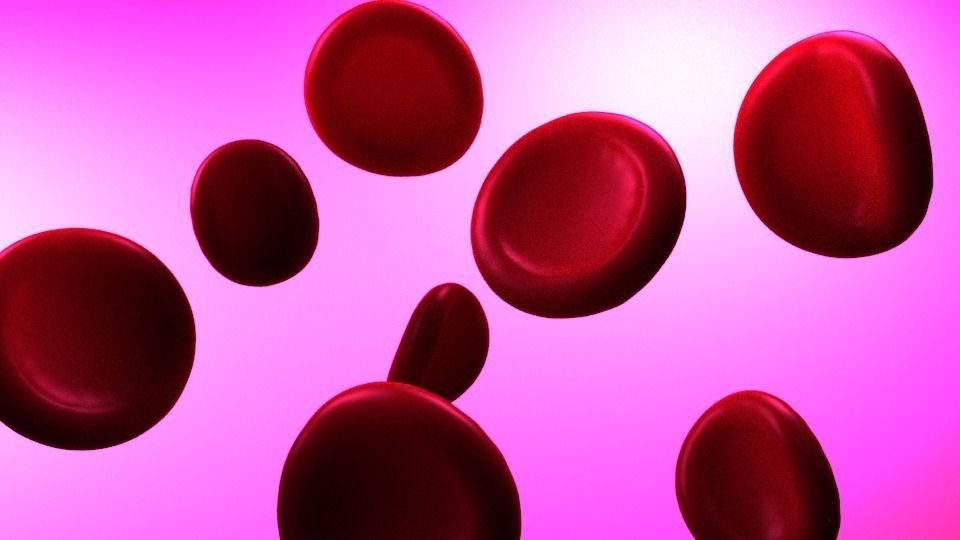 Red Blood Cell Low-poly 3D model