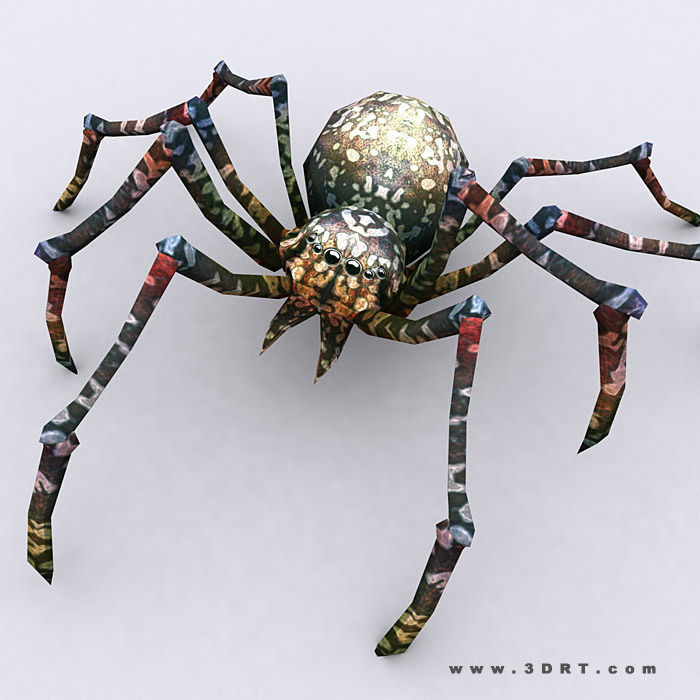 3DRT - Spiders Low-poly 3D model_4