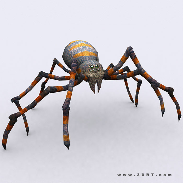 3DRT - Spiders Low-poly 3D model_3