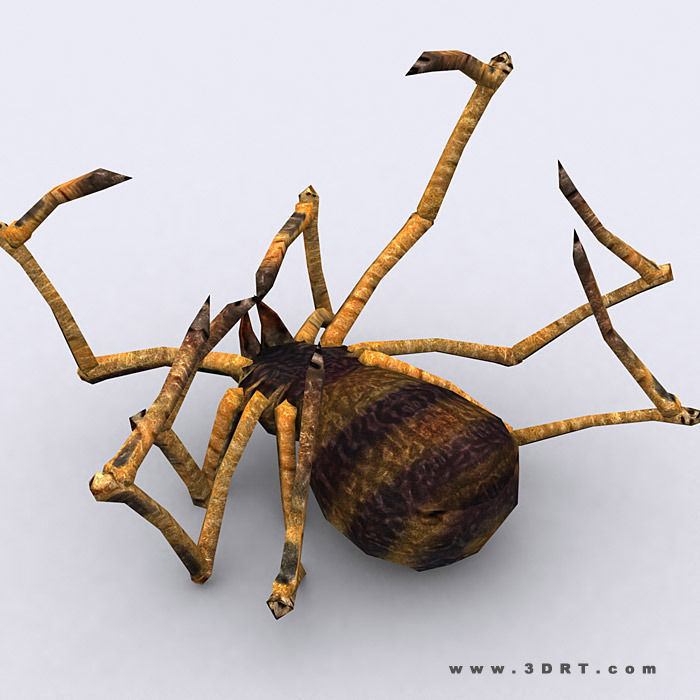 3DRT - Spiders Low-poly 3D model_8
