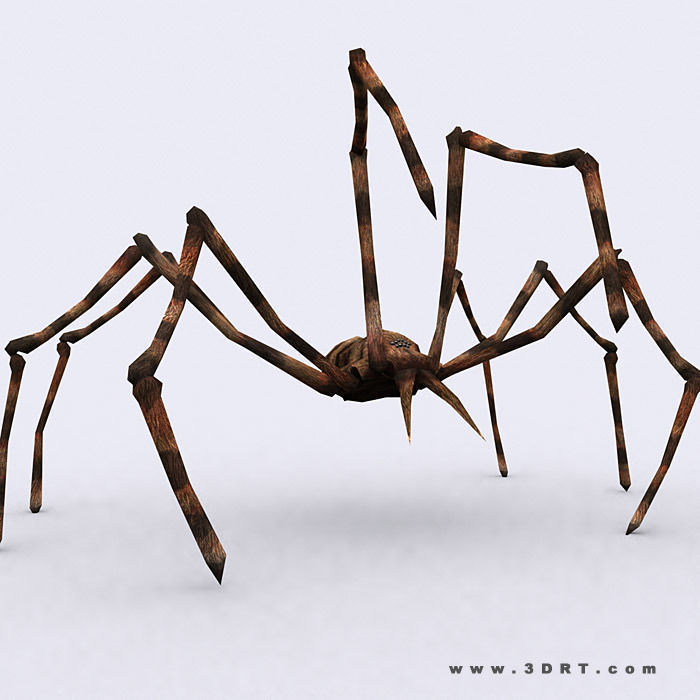 3DRT - Spiders Low-poly 3D model_9