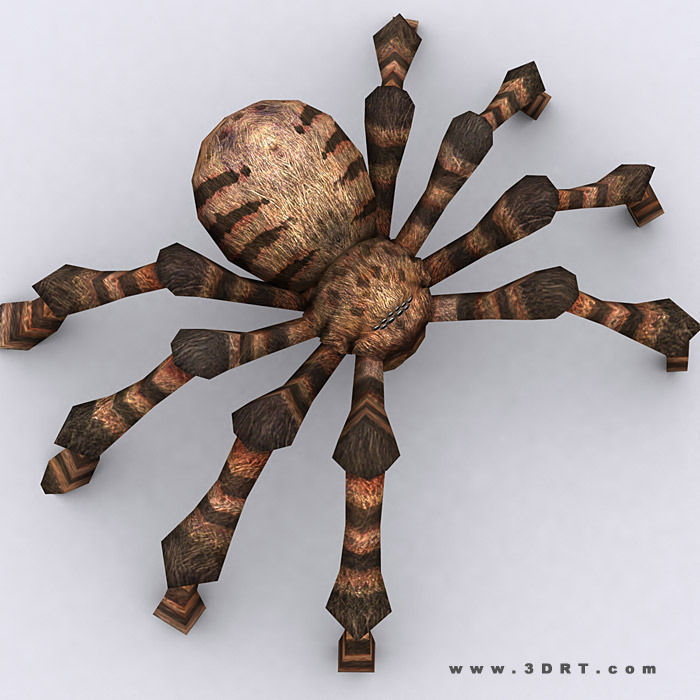 3DRT - Spiders Low-poly 3D model_2