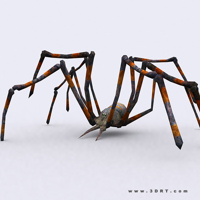 3DRT - Spiders Low-poly 3D model_7
