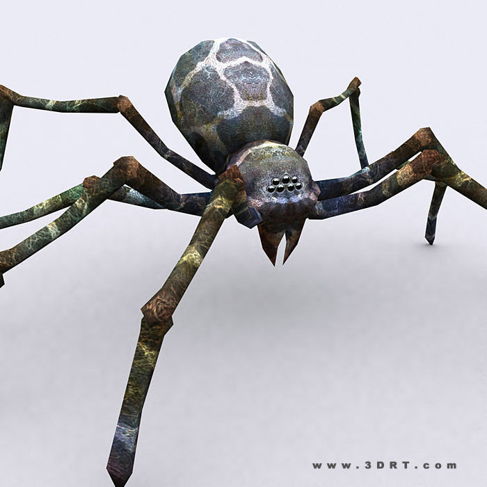 3DRT - Spiders Low-poly 3D model_6