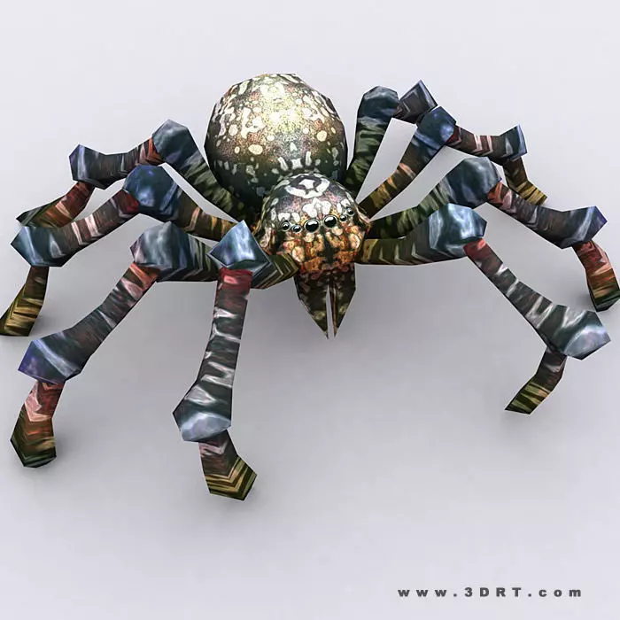 3DRT - Spiders Low-poly 3D model_0