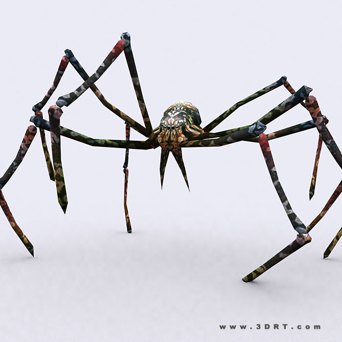 3DRT - Spiders Low-poly 3D model_10