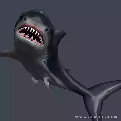 3DRT - Shark Jaws Pack Low-poly 3D model