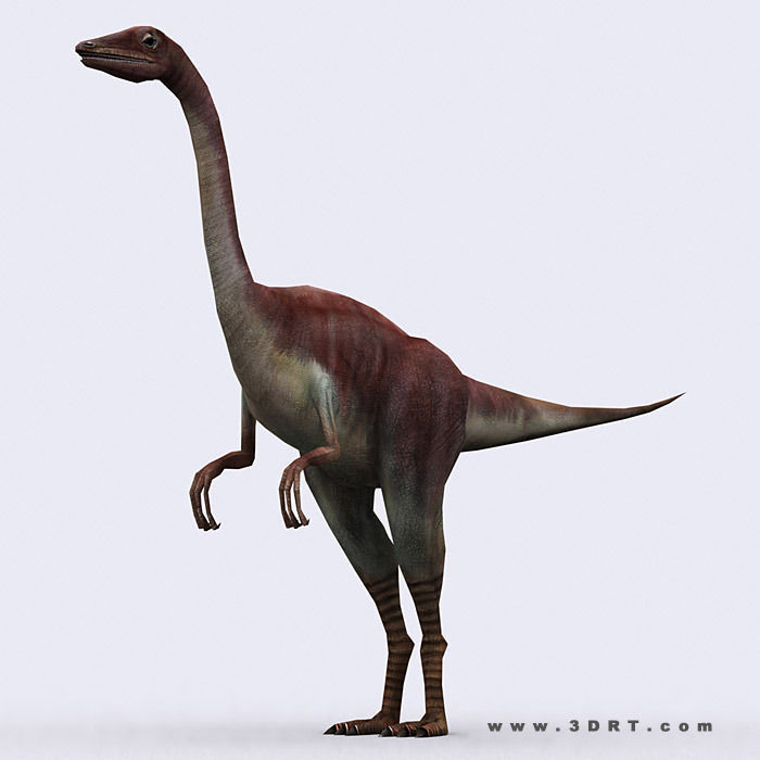 3DRT - Dinosaurs Pack Low-poly 3D model_13