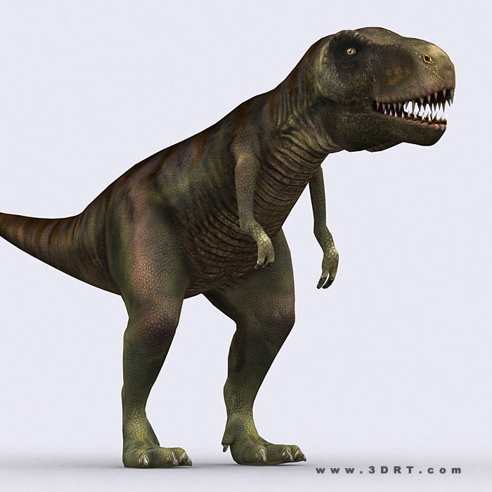 3DRT - Dinosaurs Pack Low-poly 3D model_7