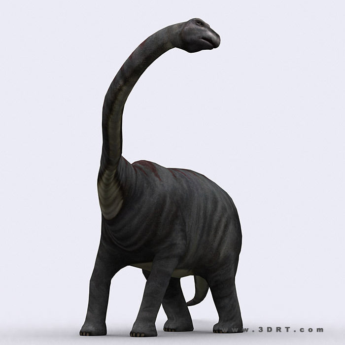 3DRT - Dinosaurs Pack Low-poly 3D model_12