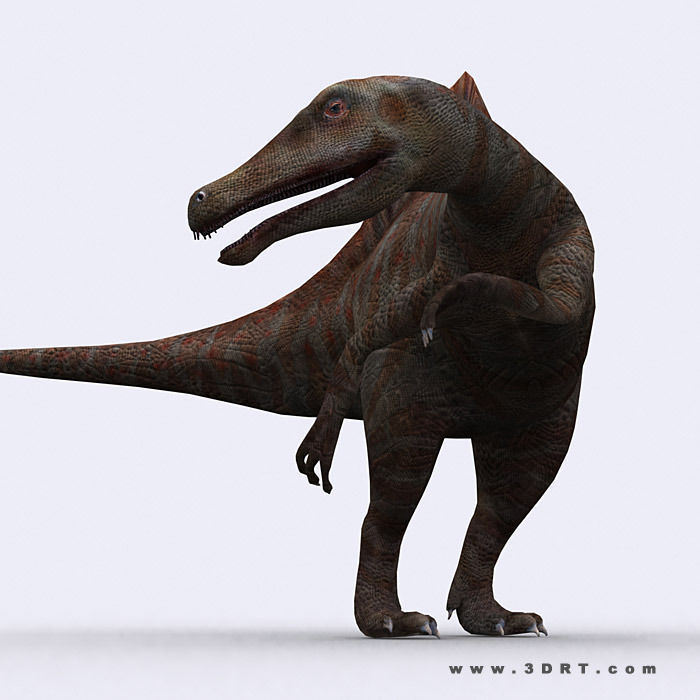 3DRT - Dinosaurs Pack Low-poly 3D model_23