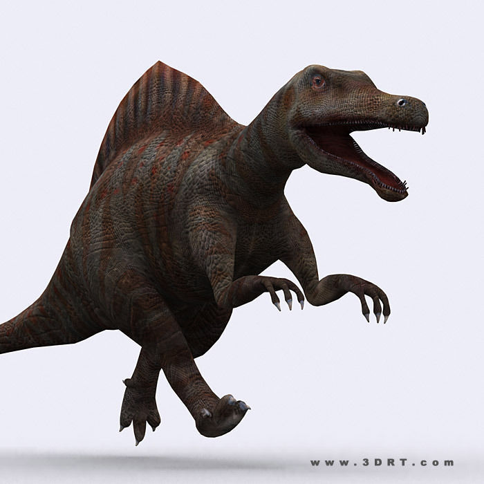 3DRT - Dinosaurs Pack Low-poly 3D model_25