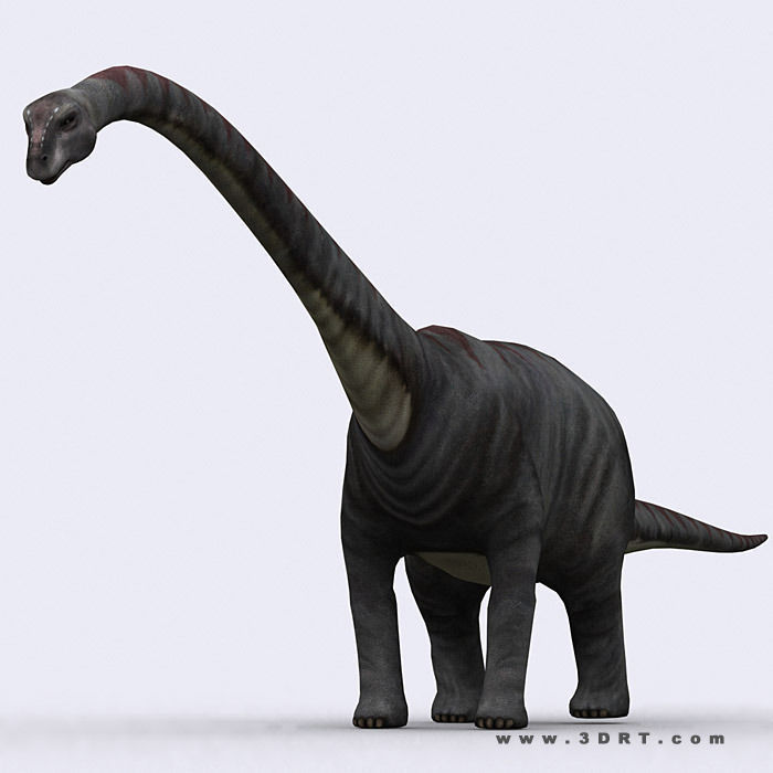 3DRT - Dinosaurs Pack Low-poly 3D model_16