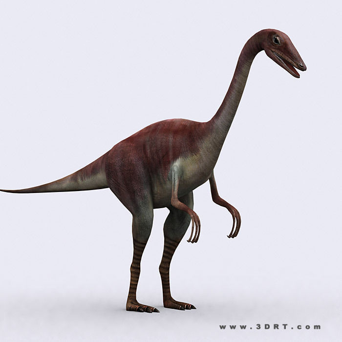 3DRT - Dinosaurs Pack Low-poly 3D model_15