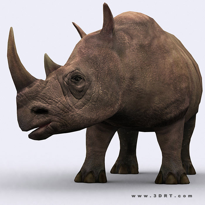 3DRT - Safari Animals Low-poly 3D model_3