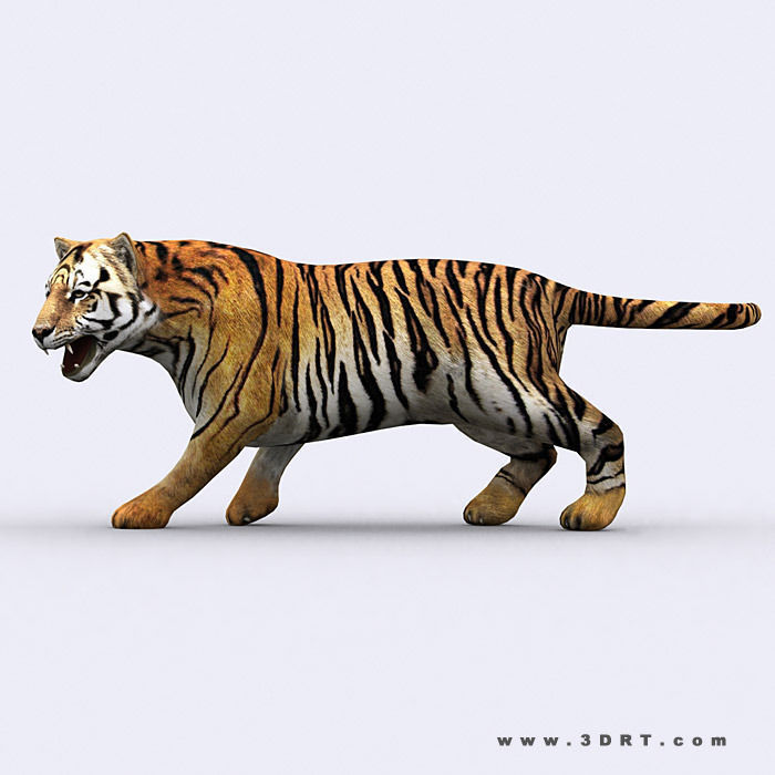 3DRT - Safari Animals Low-poly 3D model_22