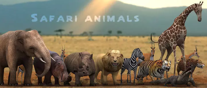 3DRT - Safari Animals Low-poly 3D model_0