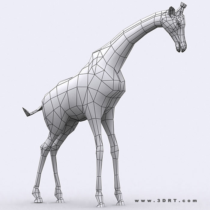 3DRT - Safari Animals Low-poly 3D model_16