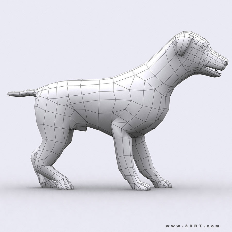 3DRT - Domestic Animals  Low-poly 3D model_19