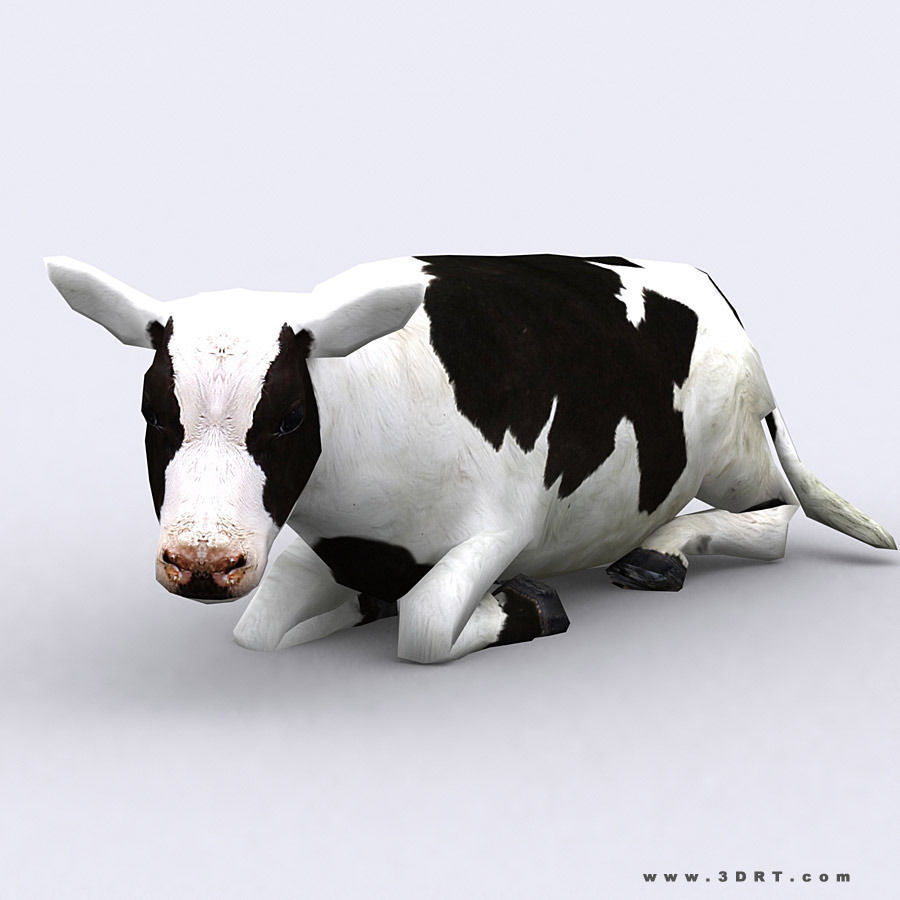 3DRT - Domestic Animals  Low-poly 3D model_12