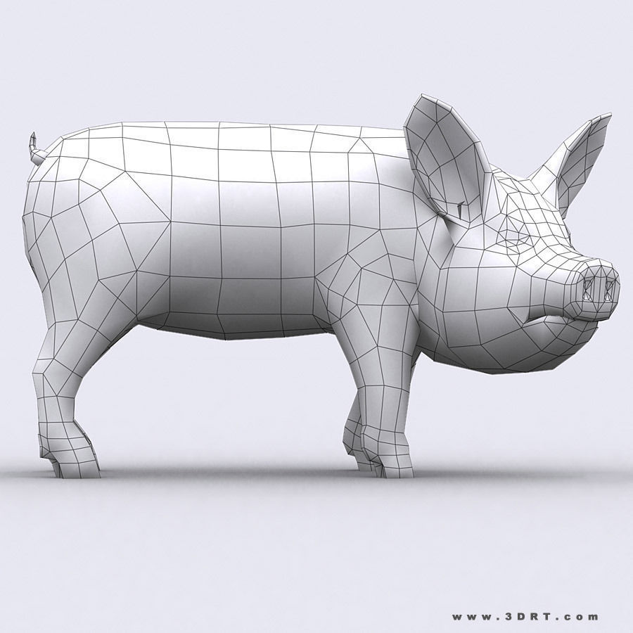 3DRT - Domestic Animals  Low-poly 3D model_22