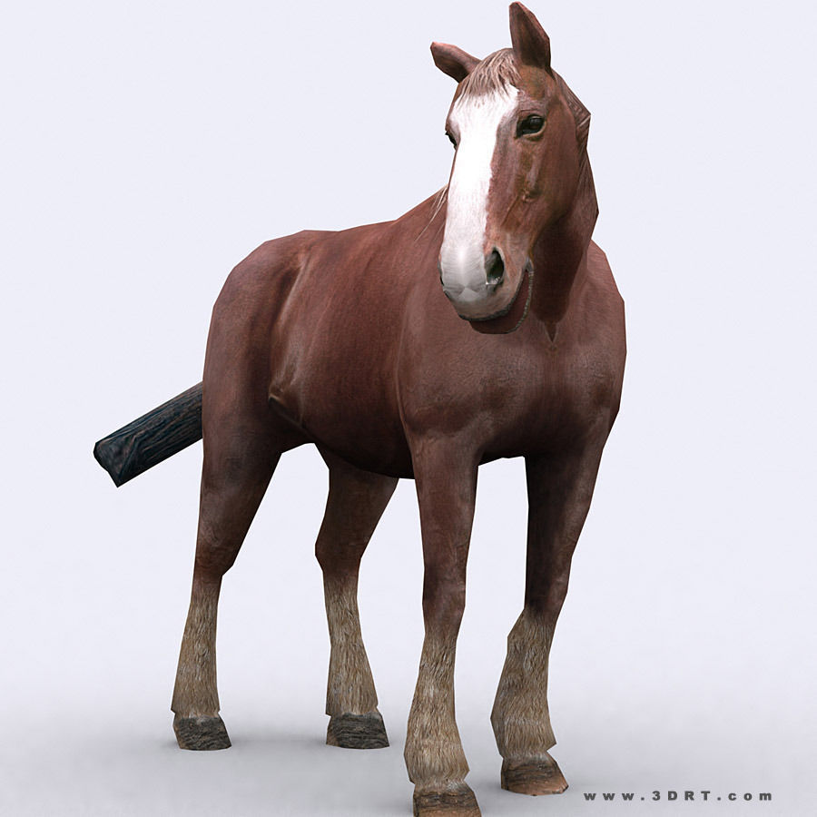 3DRT - Domestic Animals  Low-poly 3D model_3