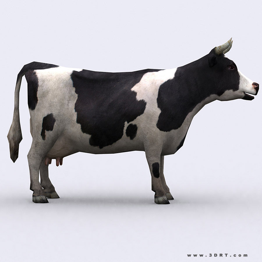 3DRT - Domestic Animals  Low-poly 3D model_5