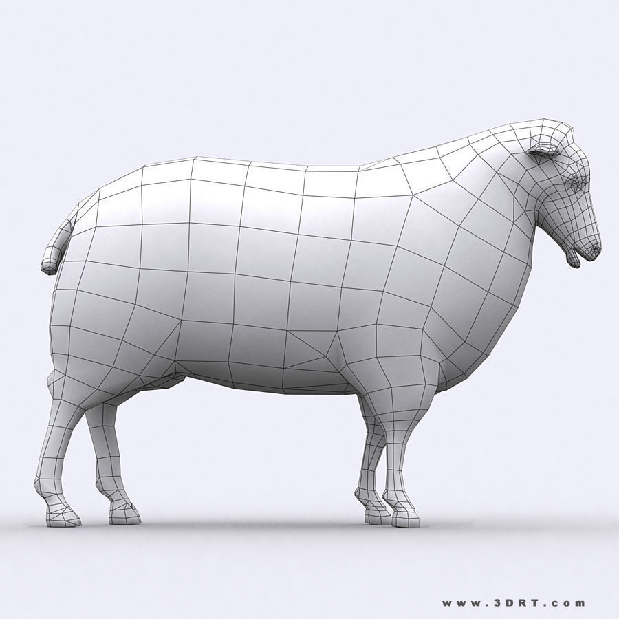 3DRT - Domestic Animals  Low-poly 3D model_28
