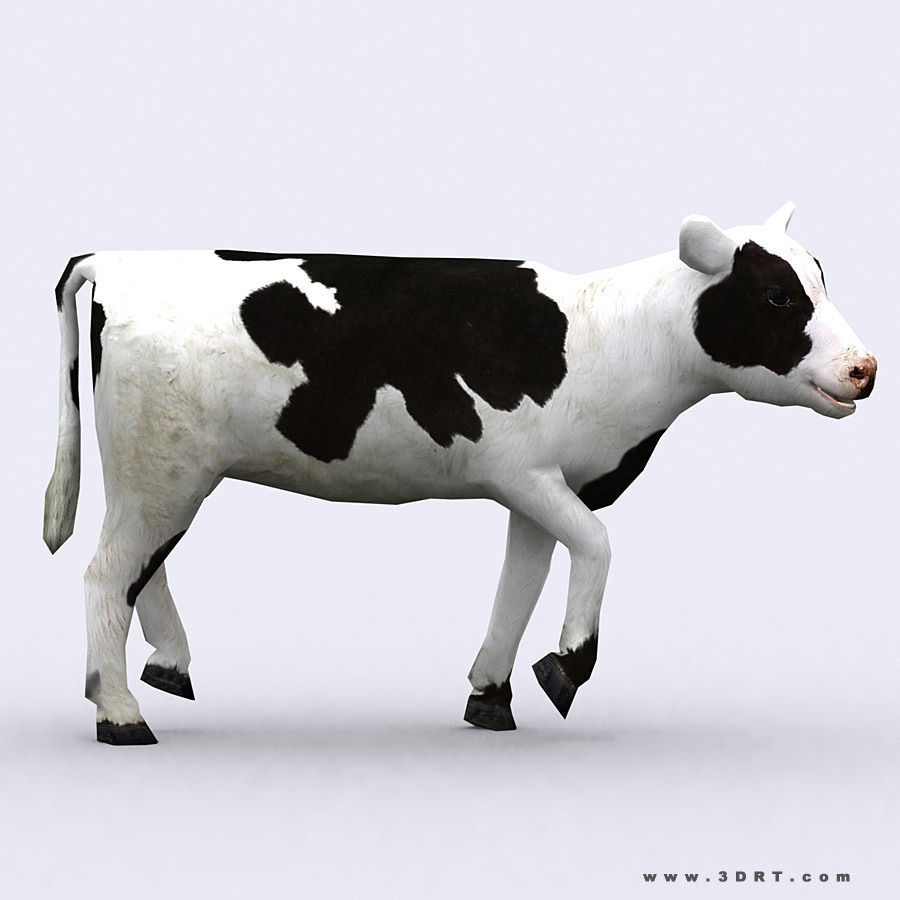 3DRT - Domestic Animals  Low-poly 3D model_11