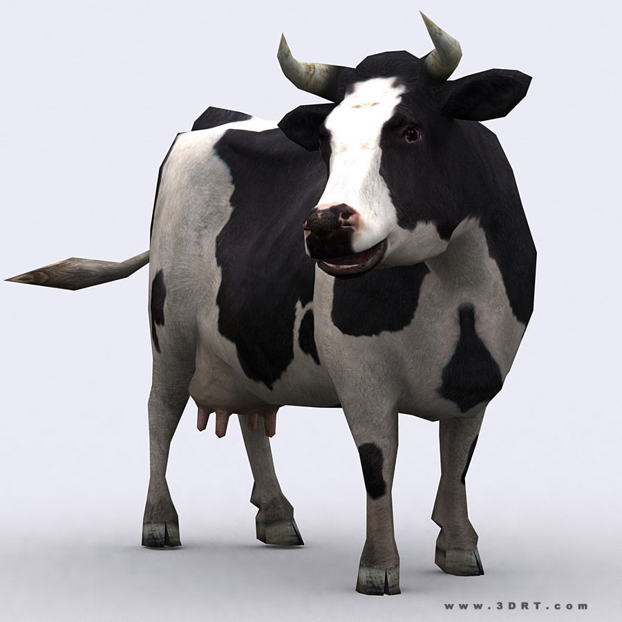 3DRT - Domestic Animals  Low-poly 3D model_6