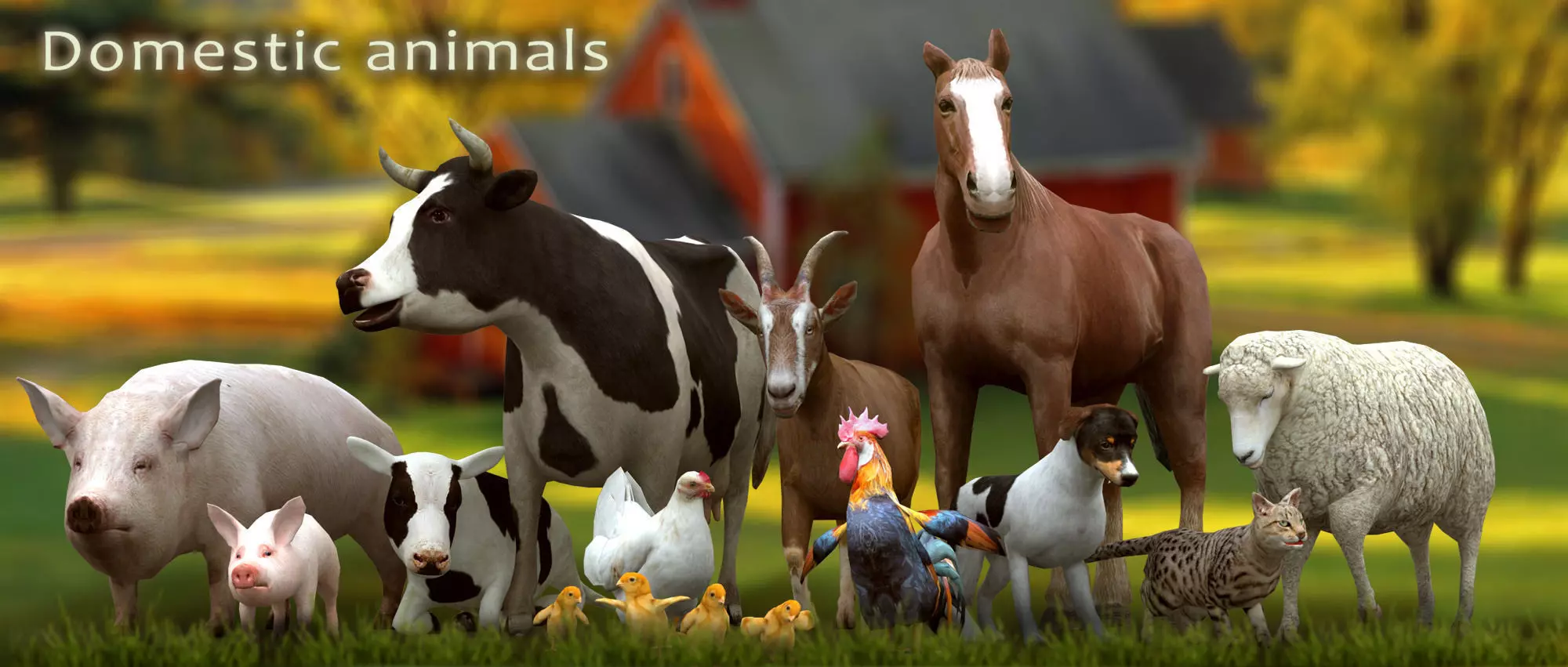 3DRT - Domestic Animals  Low-poly 3D model_0