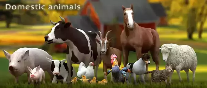 3DRT - Domestic Animals  Low-poly 3D model