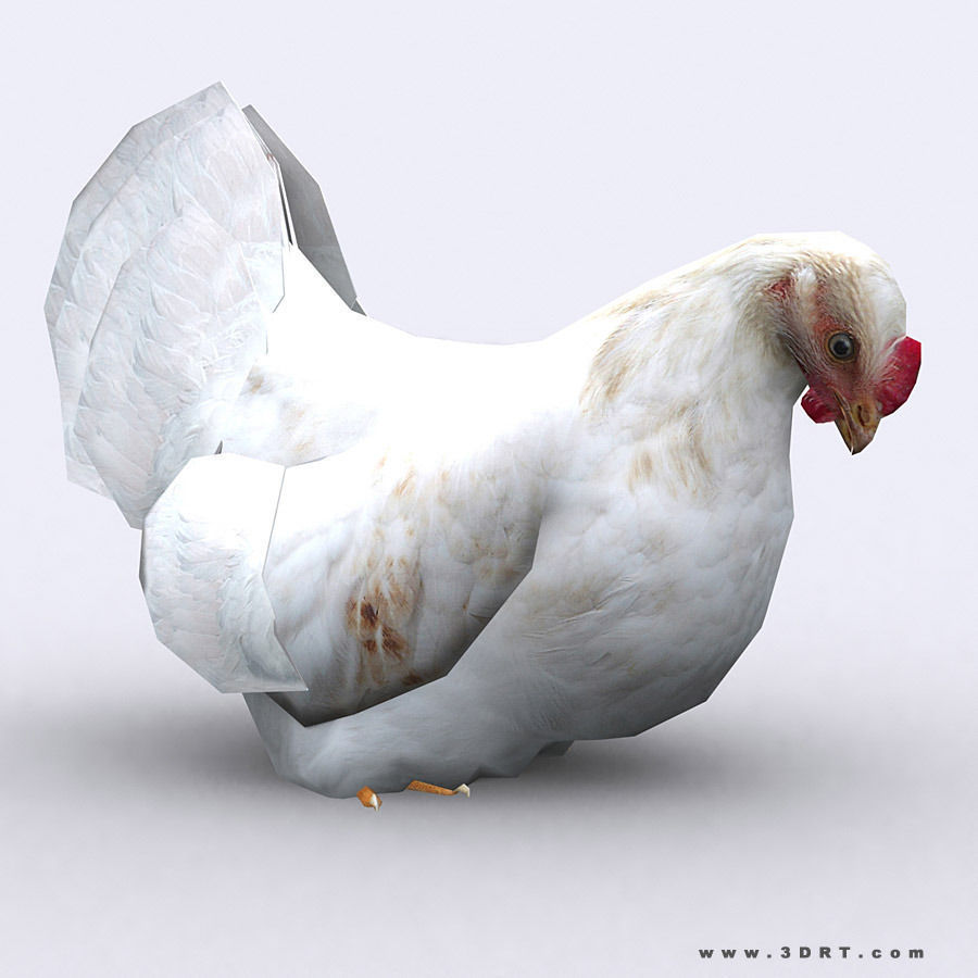 3DRT - Domestic Animals  Low-poly 3D model_32