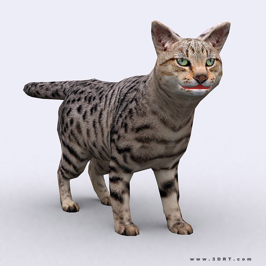 3DRT - Domestic Animals  Low-poly 3D model_14