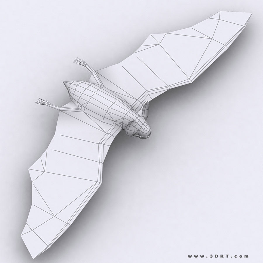 3DRT - Bat Low-poly 3D model_2