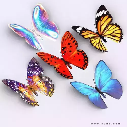 3DRT - Butterfly Low-poly 3D model