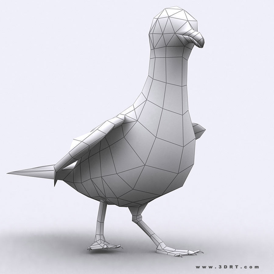 3DRT - Seagull Low-poly 3D model_2