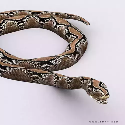 3DRT - Snake Low-poly 3D model