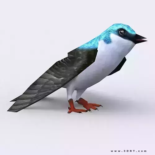 3DRT - Swallow Low-poly 3D model