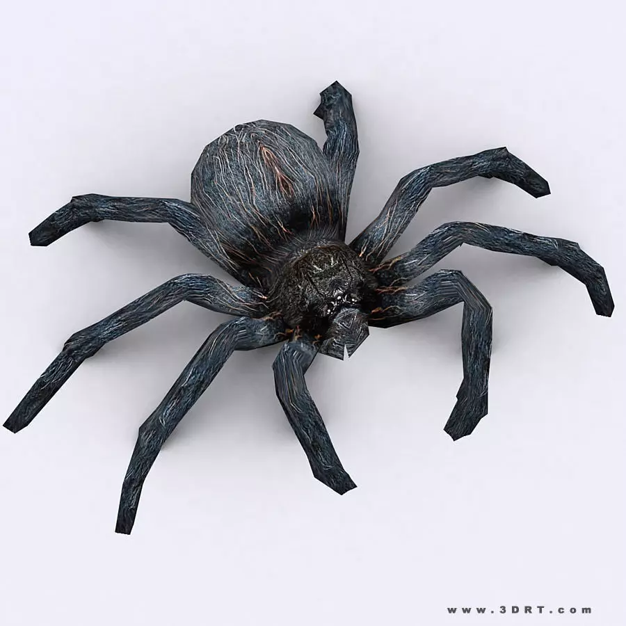3DRT - Spider Low-poly 3D model_0