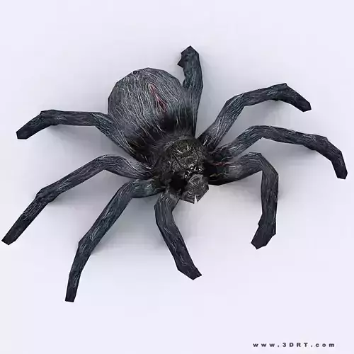 3DRT - Spider Low-poly 3D model